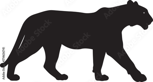  Jungle Tiger Silhouette Vector Illustration
