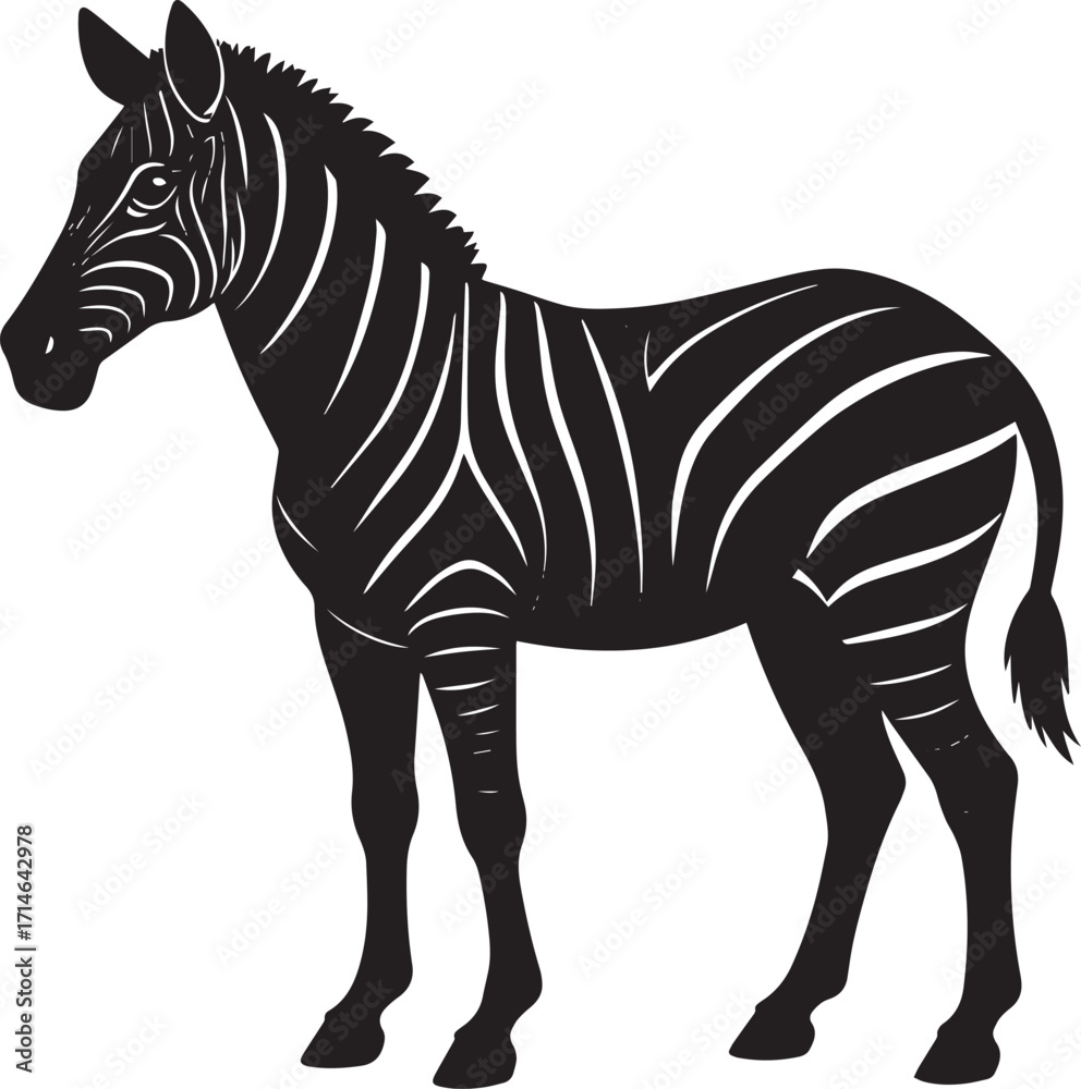 Fototapeta premium Wild Zebra Silhouette Vector Illustration