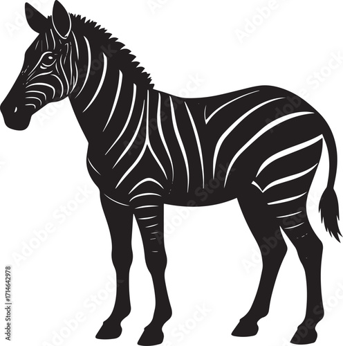  Wild Zebra Silhouette Vector Illustration