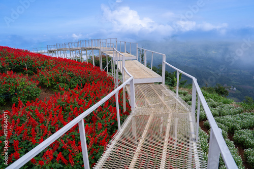 Foto Scenic viewpoint with metal walkway overlooks lush landscape of red flowers and