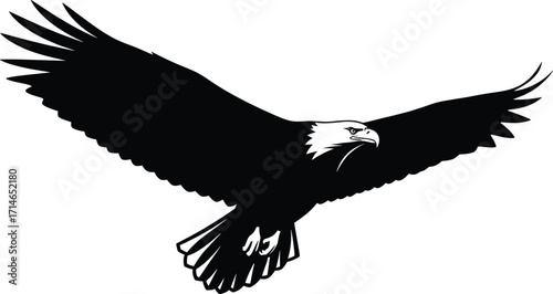Bald eagle silhouette, flying bird vector, patriotic symbol, wildlife illustration, freedom concept, black and white eagle, majestic raptor, isolated graphic