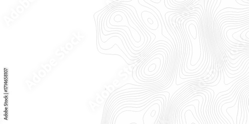 Topographic seamless map pattern with contour lines. Abstract geographic elevation design, lines sea map modern white background.	