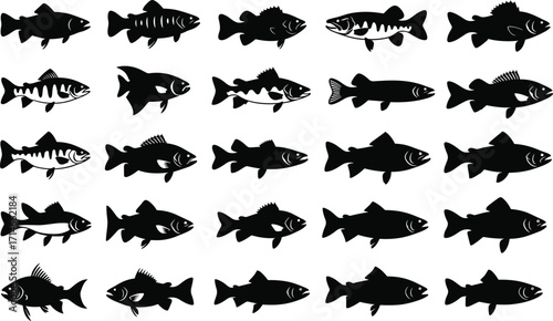 Fish silhouette vector set, black aquatic animal icons, marine species collection, editable clipart, isolated shapes, commercial use, stock illustration