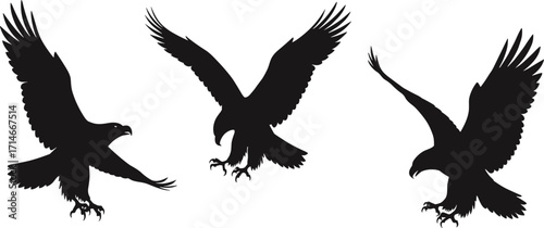 Silhouette eagle, hawk in flight, predator bird landing, talons extended, black vector illustration, wildlife attack pose, isolated on white background