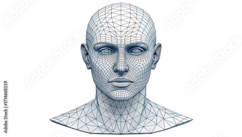 Fototapeta Naklejka Na Ścianę i Meble -  3d wireframe human head model isolated on white background
