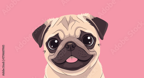 A cute pug dog with big eyes smiles happily with its tongue out on a pink background.