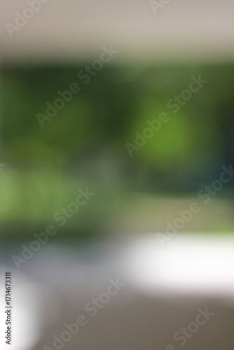 A dreamy abstract view of the autumn trees growing in the forest.