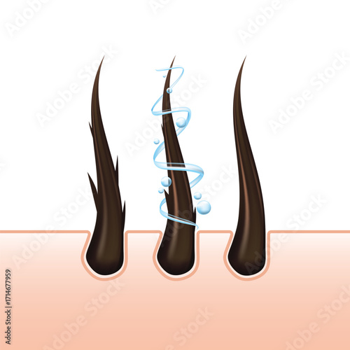 Vector art of closeup of healthy hair follicles with water droplets and steam