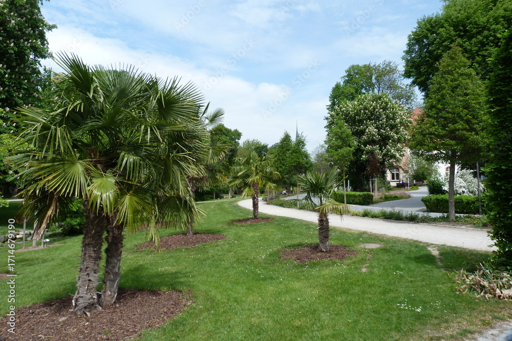 Fototapeta premium Kurpark mit Palmen in Bad Langensalza