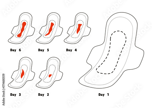 Black and white drawing. Menstruation cycle. Menstrual phone application, ovulation check. Vector female health illustration.