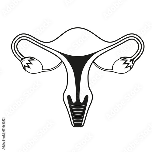 Black and white drawing. Female reproductive system. Uterus. Menstruation. Feminine hygiene. Organs symbol stock vector illustration.