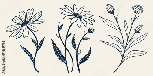 Minimal Abstract Flower Tattoo Vector Collection – Hand-Drawn Ink Wildflowers and Botanical Elements in Charcoal Crayon Style