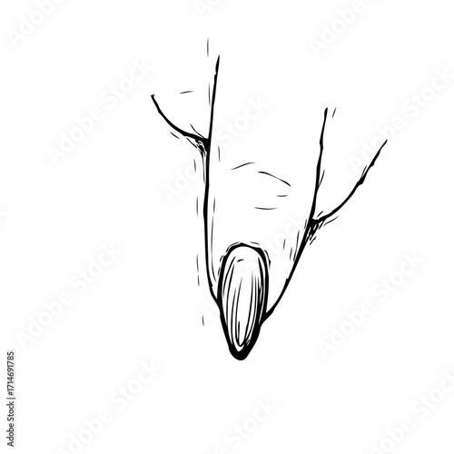 Elegant hand gesture illustration: A single finger design displaying manicured nail detail