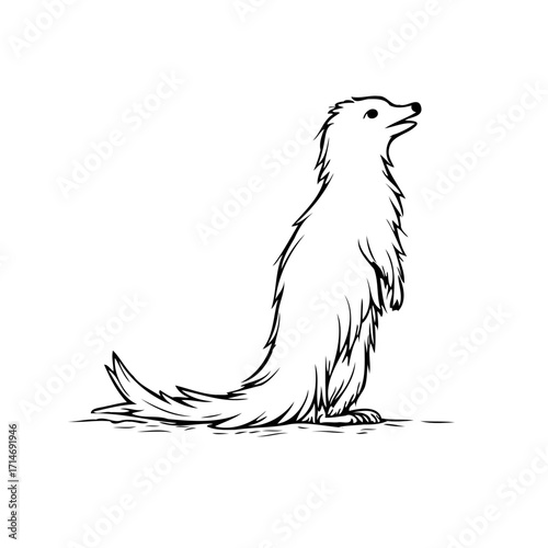 Elegant illustration of a slender animal standing upright showcasing graceful fur and distinctive