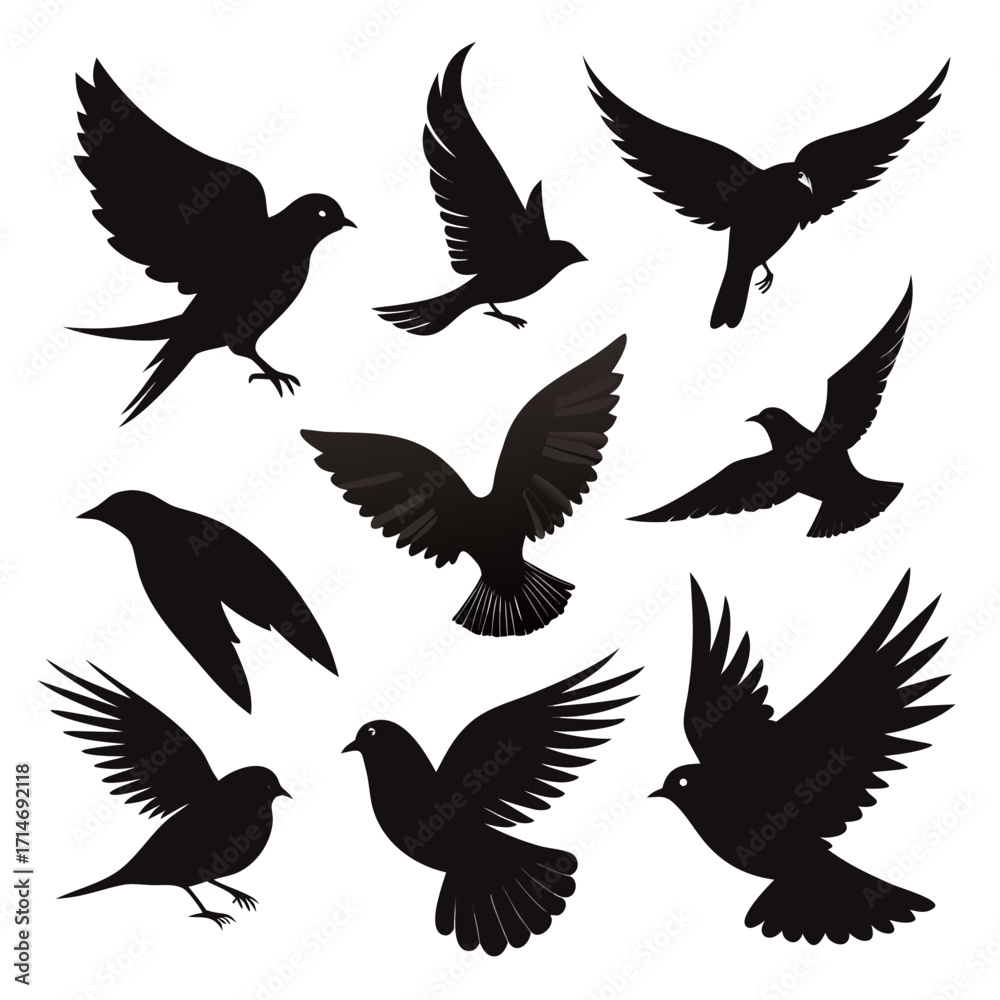 Obraz premium silhouettes of birds