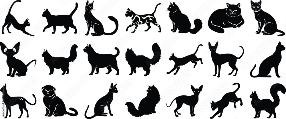 Obraz premium Collection of Various Black Silhouette Cats in Different Poses Sitting, Standing, Stretching and Playing