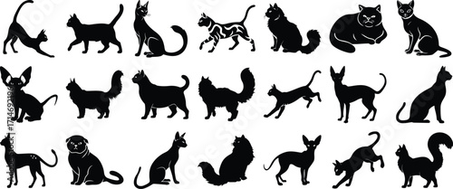 Collection of Various Black Silhouette Cats in Different Poses Sitting, Standing, Stretching and Playing