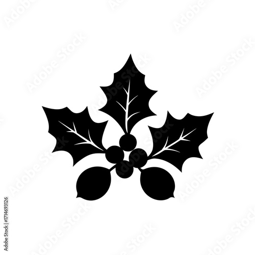 Silhouette holly berries art on transparent background
