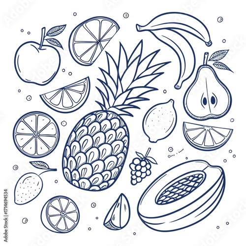 Hand drawn assortment of fresh tropical fruits and citrus