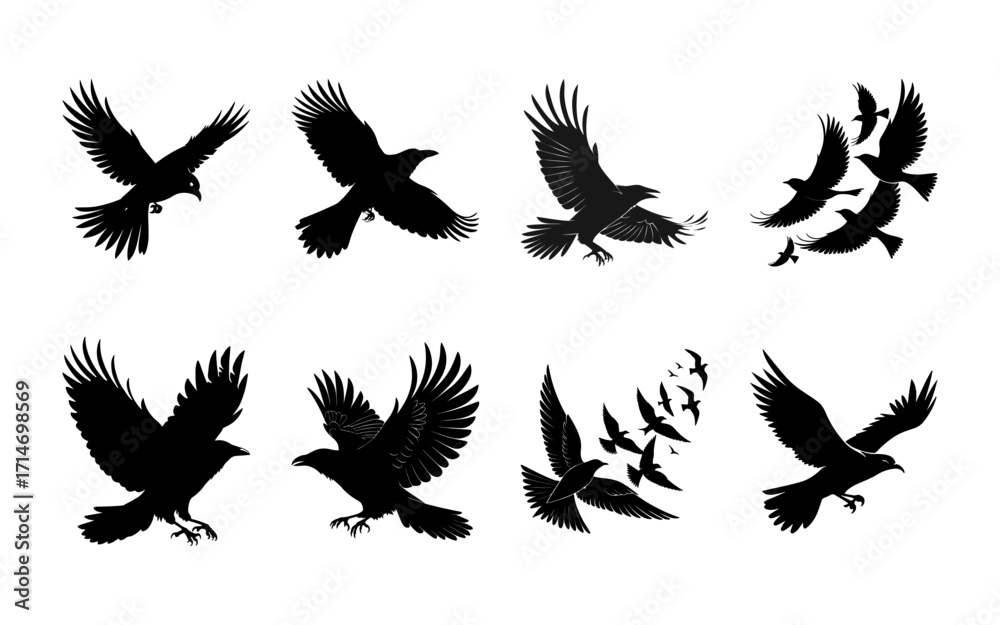 Fototapeta premium black silhouettes of birds