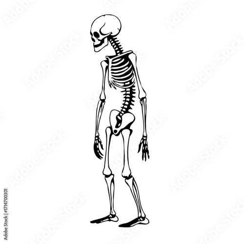 Monochrome skeletal figure conveys somber introspection anatomy study human form representation