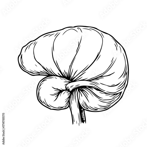 Monochrome vector illustration showcasing a stylized bulbous structure with organic texture and