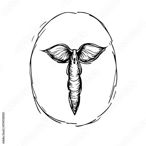 Mystical moth sketch within an oval hand-drawn frame, symbolizing transformation and ethereal