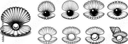 Vintage black and white oyster shell icons vector with pearls, elegant sea-inspired design illustration