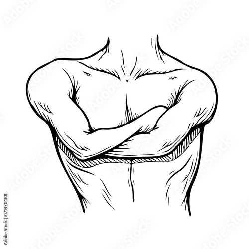 Strong man with crossed arms depicting human anatomy and strength drawing for artistic anatomy and