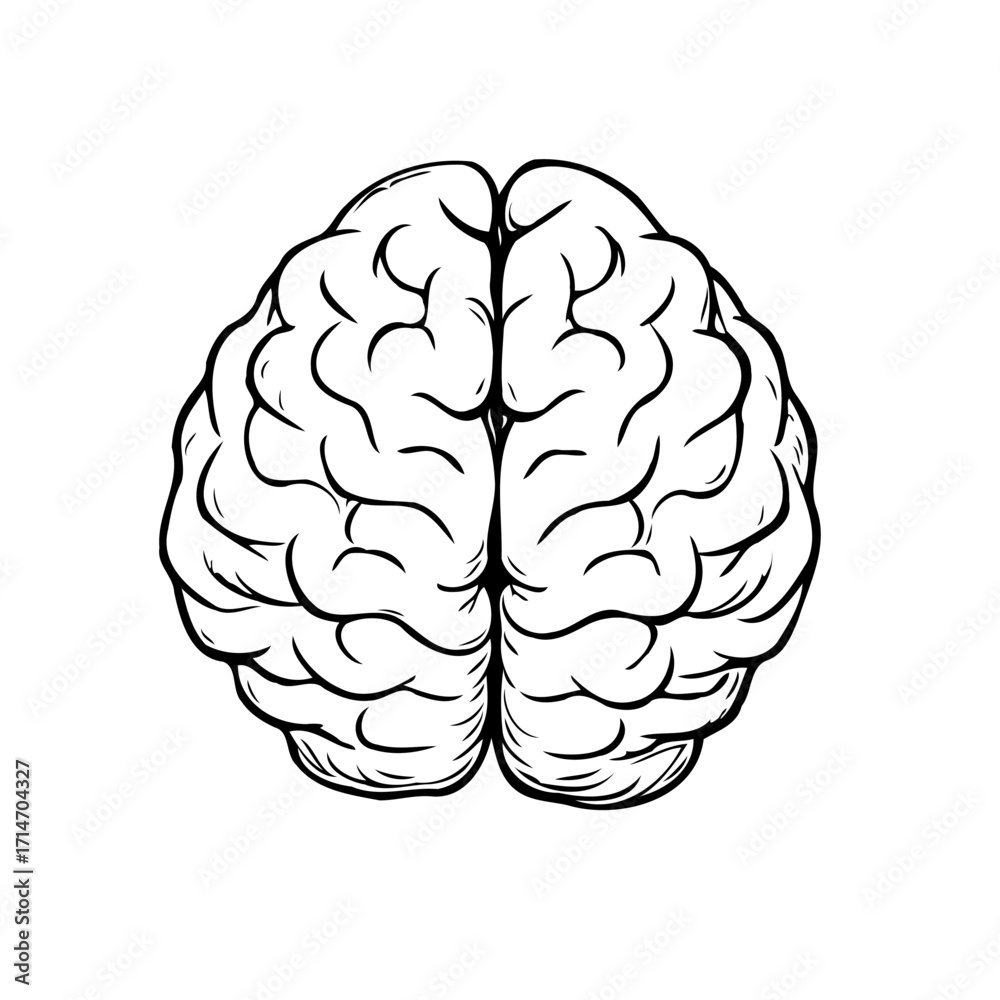 Fototapeta premium Stylized brain illustration emphasizing human intellect, cognitive functions, awareness, and