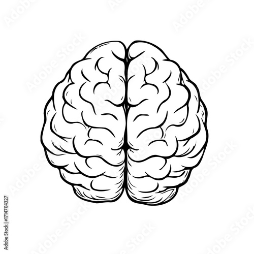 Stylized brain illustration emphasizing human intellect, cognitive functions, awareness, and