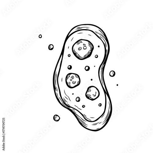 Stylized depiction of a cell or microorganism in simple black and white drawing with organic shapes