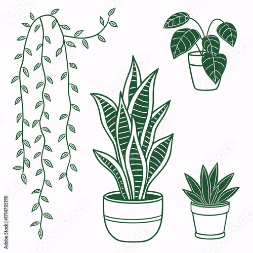 Collection of stylized green potted houseplants with trailing vines and leafy foliage on a white background