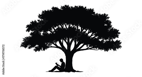 A solitary figure reading a book beneath a large leafy tree silhouette
