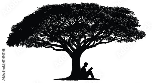 Silhouette of a large tree with a person reading underneath it