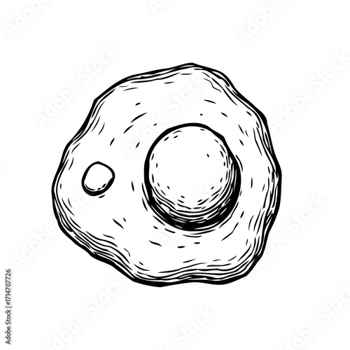 Whimsical fried egg illustration a detailed culinary sketch an invitation to enjoy simple