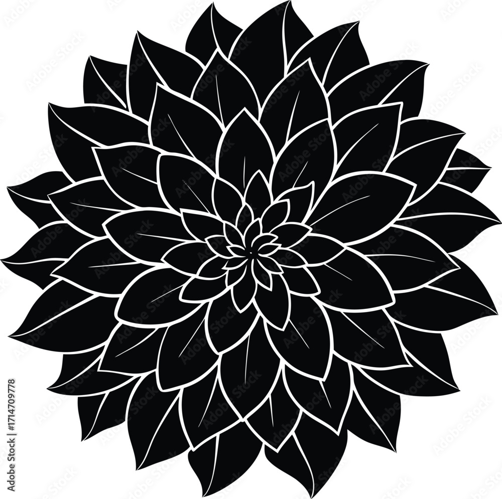 Fototapeta premium black and white abstract flower