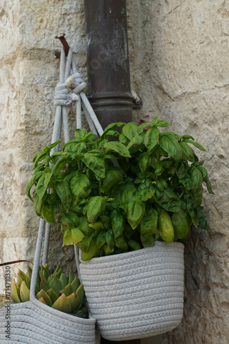 Artigianato e prodotti tipici di Gubbio, Umbria, Italia