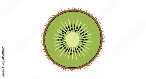 A stylized illustration of a kiwi fruit slice on a white background.