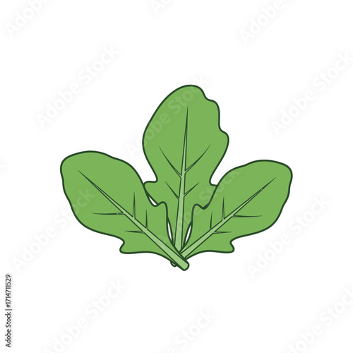 Green leaves with a bite mark on a white background.