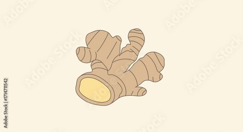 A stylized illustration of a ginger root on a plain background.