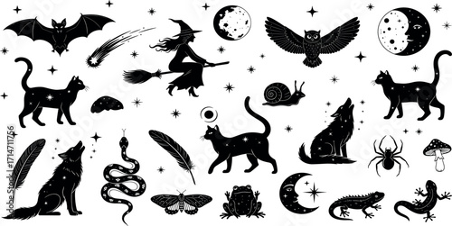 Mystical set of black silhouette witchcraft elements with celestial details, including a witch, magical animals, and pagan symbols