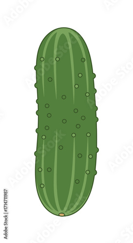 A green pickle with a textured surface on a white background.