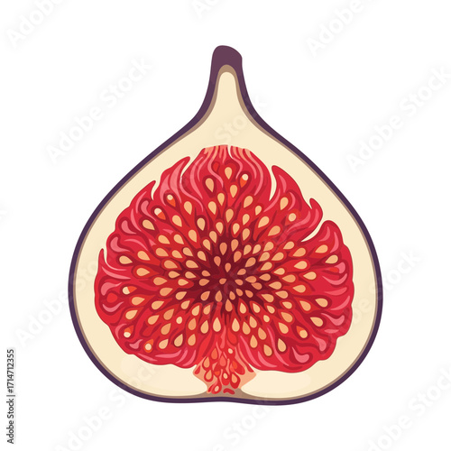 A halved fig showing its red interior and seeds.