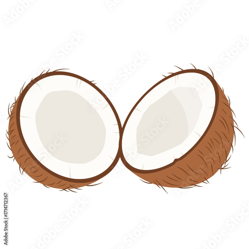 Halved coconut on white background.