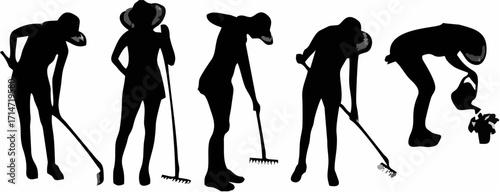 Vector silhouette of a garden...