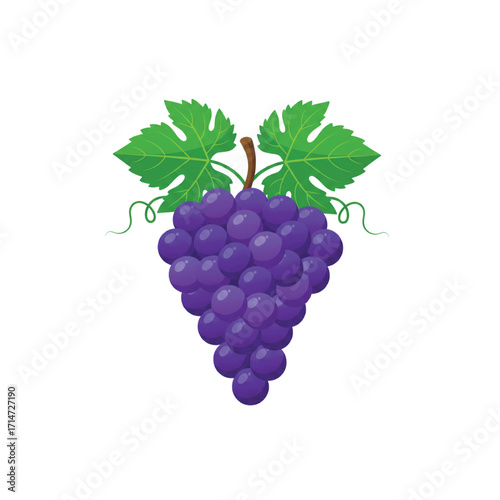 Fresh Purple Grapes with Leaves