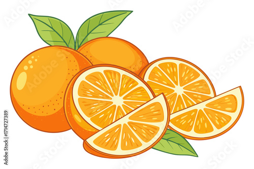 Whole and Sliced Oranges with Leaves Illustration
