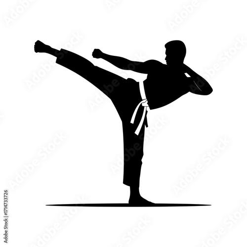 martial arts fighter silhouette performing high kick karate taekwondo training vector illustration