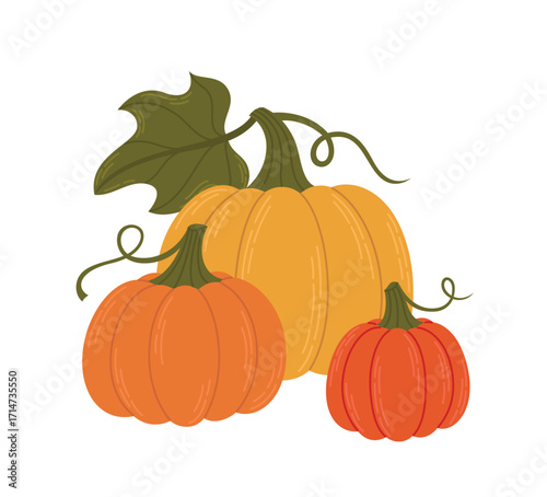 Pumpkins with twigs and leaves. Autumn seasonal flat vector illustration of harvest. Fall hand drawn gourds